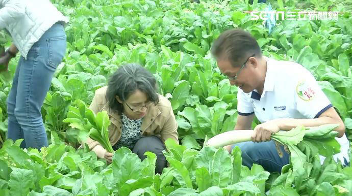 人生第一次拔蘿蔔!蕭美琴笑稱邱議瑩:以前黑珍珠現在是「白蘿蔔西施」 人生第一次拔蘿蔔!蕭美琴笑稱邱議瑩:以前黑珍珠現在是「白蘿蔔西施」