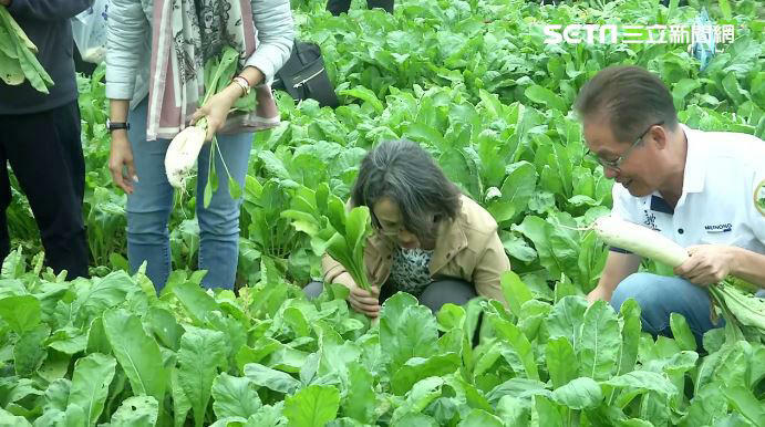 人生第一次拔蘿蔔!蕭美琴笑稱邱議瑩:以前黑珍珠現在是「白蘿蔔西施」 人生第一次拔蘿蔔!蕭美琴笑稱邱議瑩:以前黑珍珠現在是「白蘿蔔西施」