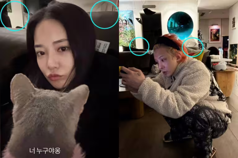 8年傳了5次緋聞!GD今日發聲明否認與李珠妍的戀愛傳聞:不是事實! 8年傳了5次緋聞!GD今日發聲明否認與李珠妍的戀愛傳聞:不是事實!