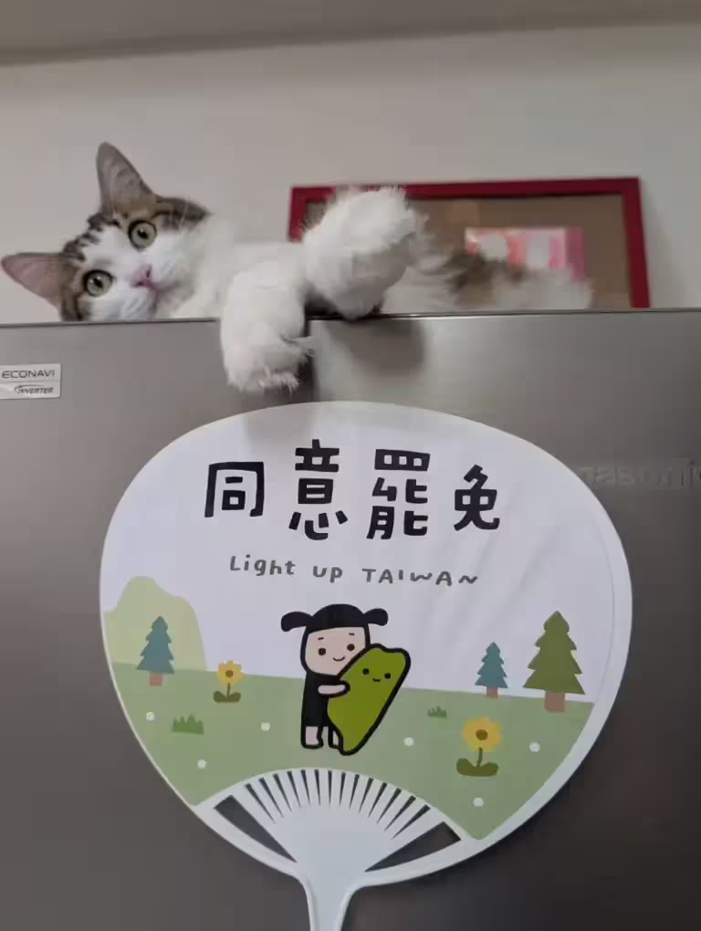 ▲插畫家BB的「台派寶寶」圖像,各種宣傳圖案令人眼睛一亮。(圖/翻攝罷團「展翅廢翔」臉書,2025.06.24) ▲插畫家BB的「台派寶寶」圖像,各種宣傳圖案令人眼睛一亮。(圖/翻攝罷團「展翅廢翔」臉書,2025.06.24)