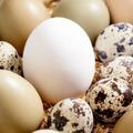 雞蛋、鴨蛋、鵝蛋、鵪鶉蛋，哪個更營養？提醒：這3種蛋儘量少吃