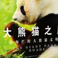讀書｜釋放貪玩的天性，大熊貓有哪些愛玩的小遊戲？