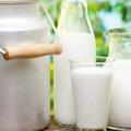 牛奶早上喝好，還是晚上喝好？喝牛奶傷胃還是養胃？7個牛奶小問題，看懂再喝也不遲