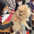 毛寶貝愛寵LIVE音樂會9／28登場 因應世界狂犬病日免費打疫苗