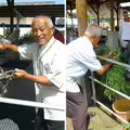 117歲老牛不吃不喝　主人帶家鄉牧草趕來「老牛反應惹哭全網」