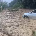 快訊／紫爆雷雨炸台中！4國小宣布停課