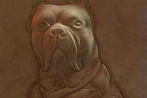 內有惡犬請繞行，有硬廣繞行