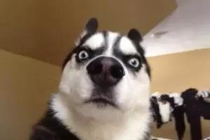 姑娘在40℃的天氣化妝出門之後