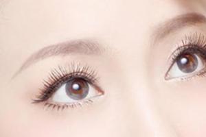 解決眼部護理8大困惑