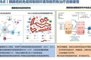 胰腺癌丨免疫治療前後多重免疫組化及ADC生物標記物蛋白組化