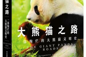 讀書｜釋放貪玩的天性，大熊貓有哪些愛玩的小遊戲？