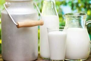 牛奶早上喝好，還是晚上喝好？喝牛奶傷胃還是養胃？7個牛奶小問題，看懂再喝也不遲