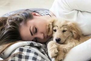 狗狗喜歡睡在你身邊，離不開這4個原因