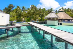 1國家宣布超狂禁菸令！2007年後出生者「終身不得買菸」旅客也適用