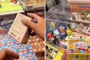 30歲男全職「搖盲盒」　年收高達140萬