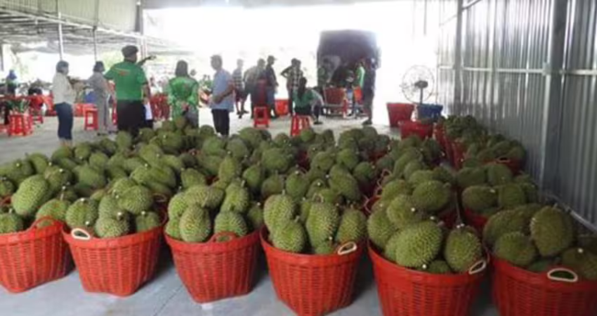1水果出事了！價格崩跌創歷史新低　吃下肚恐「傷腎損骨」