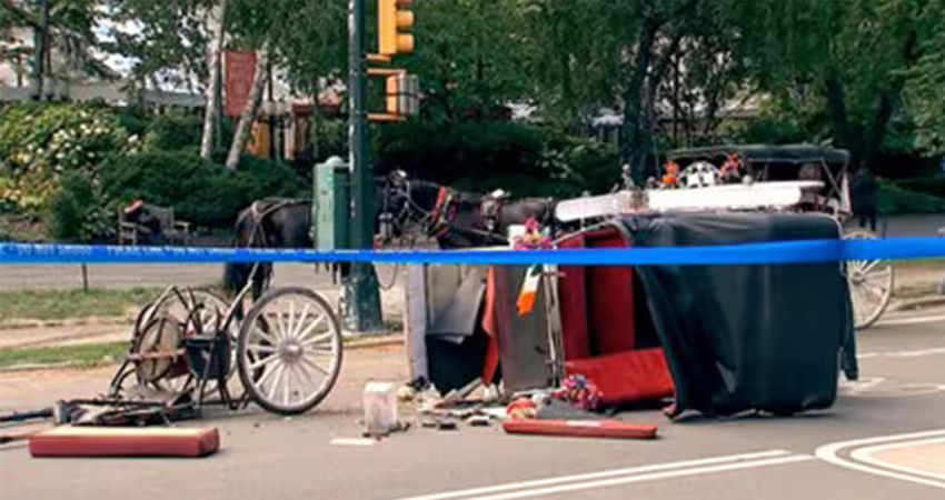 馬車失控狂奔　少年為救母身亡