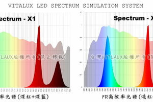 特殊波長LED在園藝植物照明補光中的用途