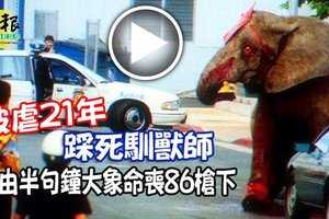 全世界震撼！被虐21年踩死馴獸師，自由半句鐘大象命喪86槍下！