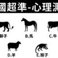 韓國超準《心理測驗》當你疲憊時，什麼東西最先拋棄