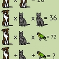 這些動物們分別代表一個數字，你能算出最後的答案嗎？