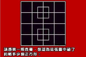 德軍飛行員IQ反映測試題 