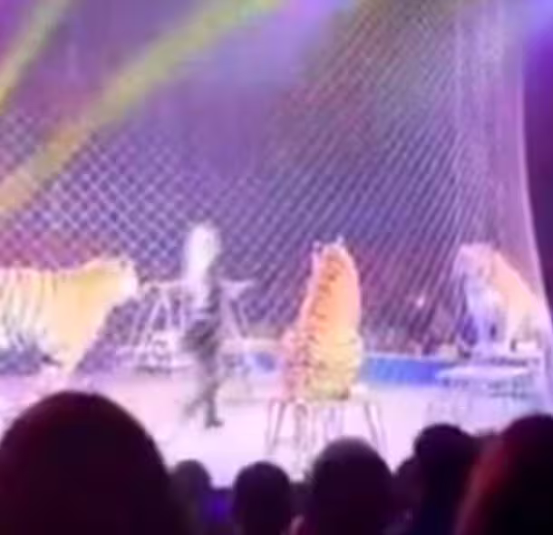 %e9%a6%ac%e6%88%b2%e5%9c%98%e8%80%81%e8%99%8e