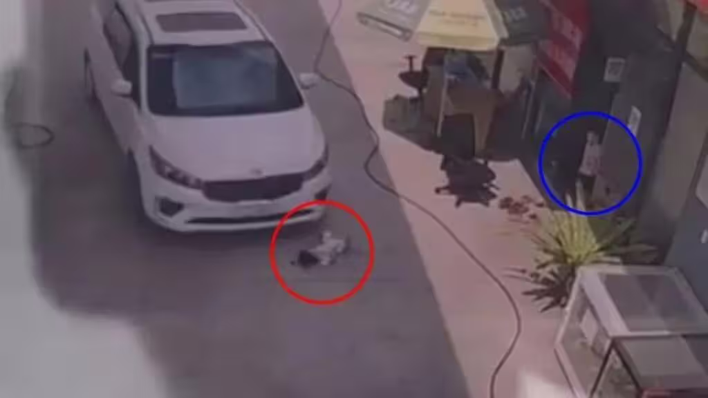 %e5%a5%a7%e5%ae%a2%e6%89%93%e5%ba%97%e5%93%a1