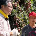 荔枝影片爆紅 霧農大叔幽默翻轉農會