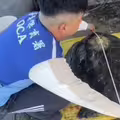 海龜擱淺彰化「背上竟有中國追蹤器」　真正原因曝光