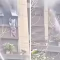 火災受困窗外　母女慘雙雙墜樓