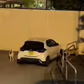 4野狗深夜圍攻轎車　狂咬車頭保險桿陣亡了