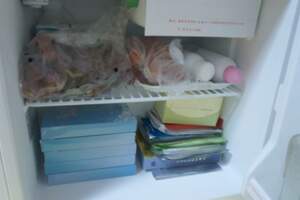 夏天把面膜放冰箱裡，到底有沒有用？
