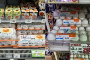 驚見日本「1顆雞蛋賣5塊」喊便宜　鄉民愣：收入是台灣人3倍