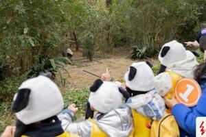 看熊貓、觀恐龍……「童心築夢 研旅成華」親子研旅公益活動順利開展