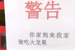 家門被鄰居貼「警告」！門把驚見掛著「紅通通證據」牠表情超無辜