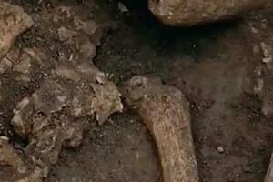 首次發現？漢文帝霸陵殉葬坑發現熊貓骨骼，距今2000多年！