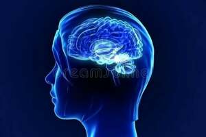 李俊才大夫—小腦萎縮的主要症狀有哪些呢？