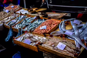 中國禁日本水產「恐改進口印度貨」　微博網友崩潰：不要進來啊