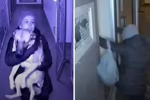 差幾小時就被安樂!愛犬遭前男友遺棄 女子「闖收容所偷狗」獲判無罪 差幾小時就被安樂!愛犬遭前男友遺棄 女子「闖收容所偷狗」獲判無罪