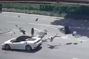 機車遭法拉利撞飛!騎士下場恐慘了 機車遭法拉利撞飛!騎士下場恐慘了