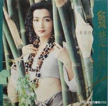 甄楚倩曾因負債拍三級片。(圖/翻攝自微博) 甄楚倩曾因負債拍三級片。(圖/翻攝自微博)