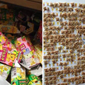 日男成功收集500款小熊餅乾造型　超狂「全部插滿照」證明廠商沒騙人