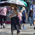 乳癌權威周佳正過馬路被撞死 百萬YTR轟：在日本早就被抓了
