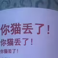尋貓啟事「故意不放貓照」　眾人細看小字理解：太丟臉了