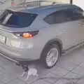 車輛倒車意外！女童誤入盲區遭兩度輾過