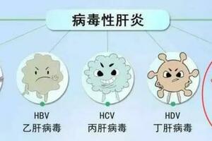 一道隔夜菜，讓他們肝功能「爆表」！這些習慣很多人都有
