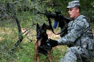 不同國家軍犬的命運、英國軍隊的安樂死、美軍樹立的雕像最人道的