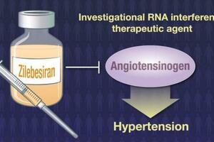 一種新藥可以讓高血壓患者的用藥頻率大大降低