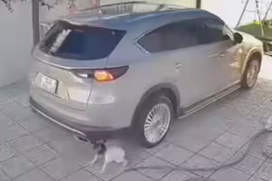 車輛倒車意外!女童誤入盲區遭兩度輾過 車輛倒車意外!女童誤入盲區遭兩度輾過